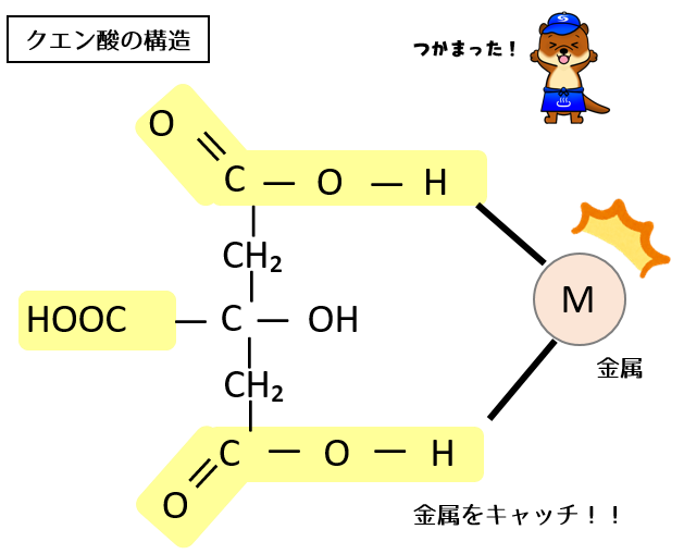 クエン酸の構造式　金属がくると、両端のカルボキシル基と結合します